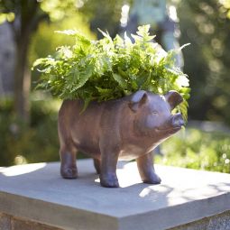 Metal Pig Planter 17.5" x 10"