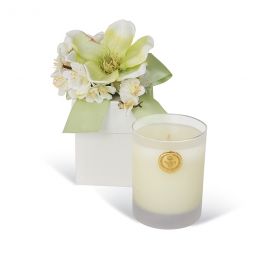 Lux Magnolia Jasmine Candle in Decorative Box