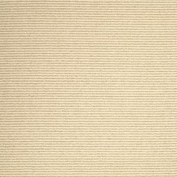 Indoor/Outdoor Beach Sisal Rug