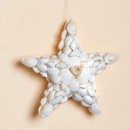 Shell Star Ornament