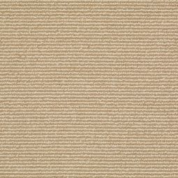 Indoor/Outdoor Sisal Rug