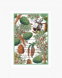 Spruce Kitchen Towel